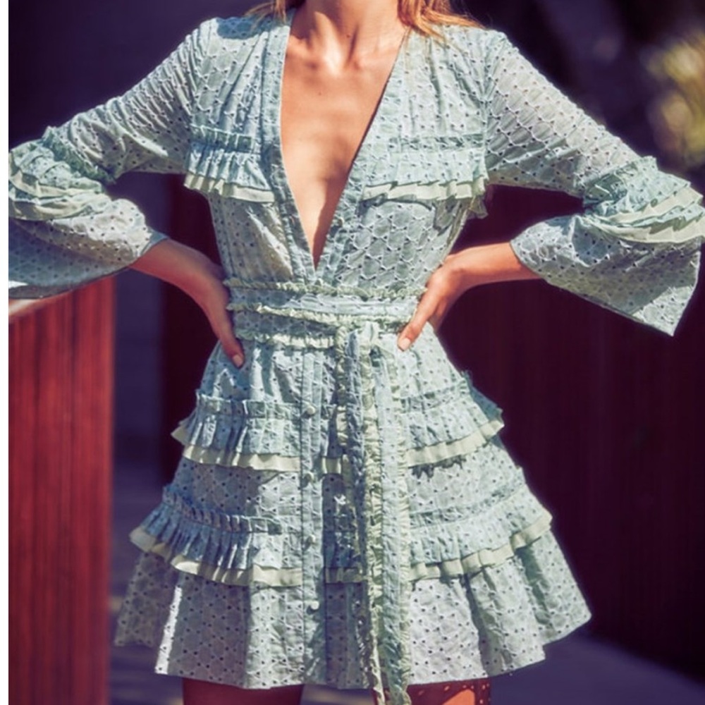 Alexis Audrea Eyelet Cotton Mini Dress